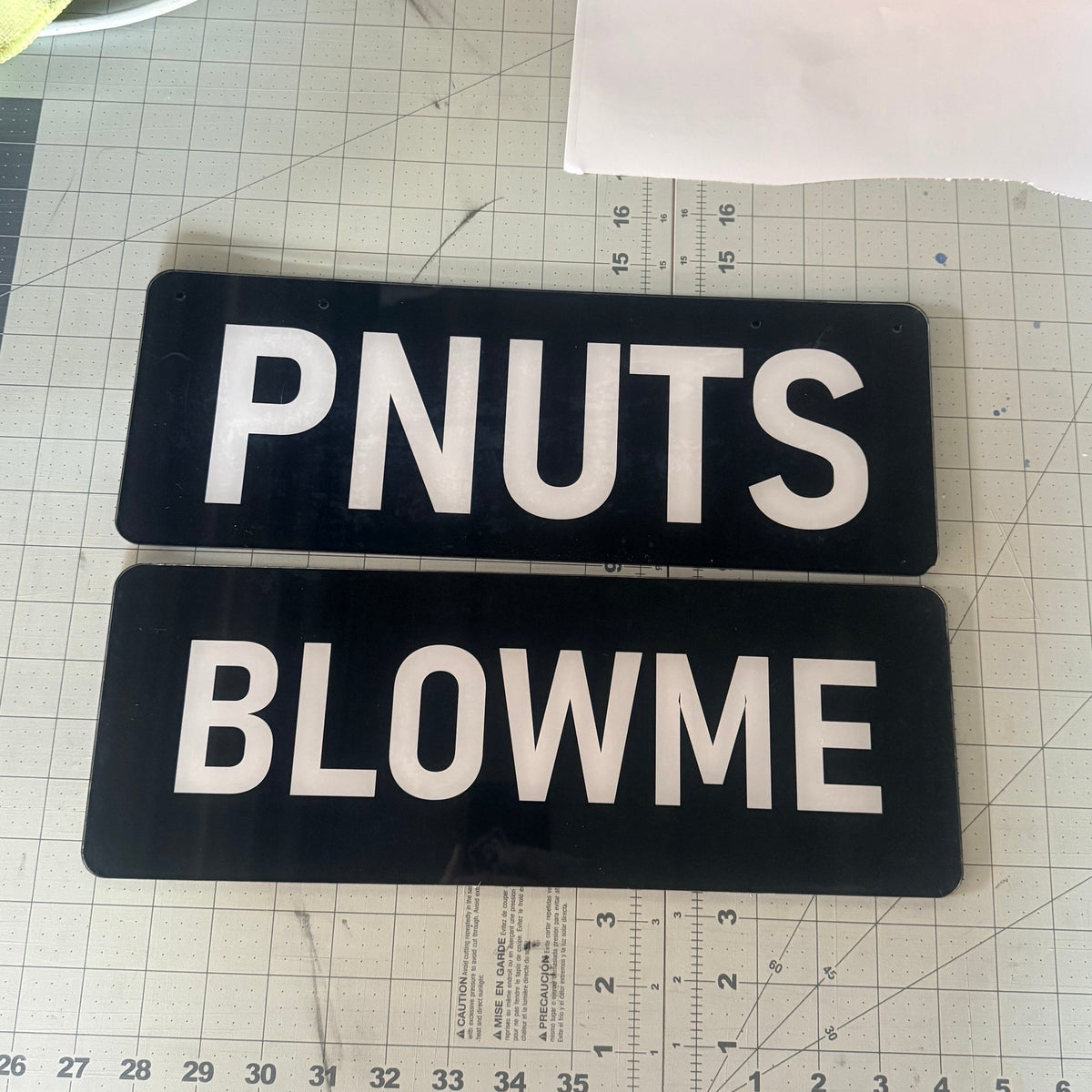 Acrylic Display Plate Pair