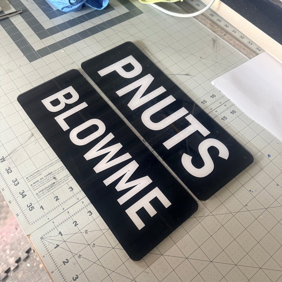 Acrylic Display Plate Pair