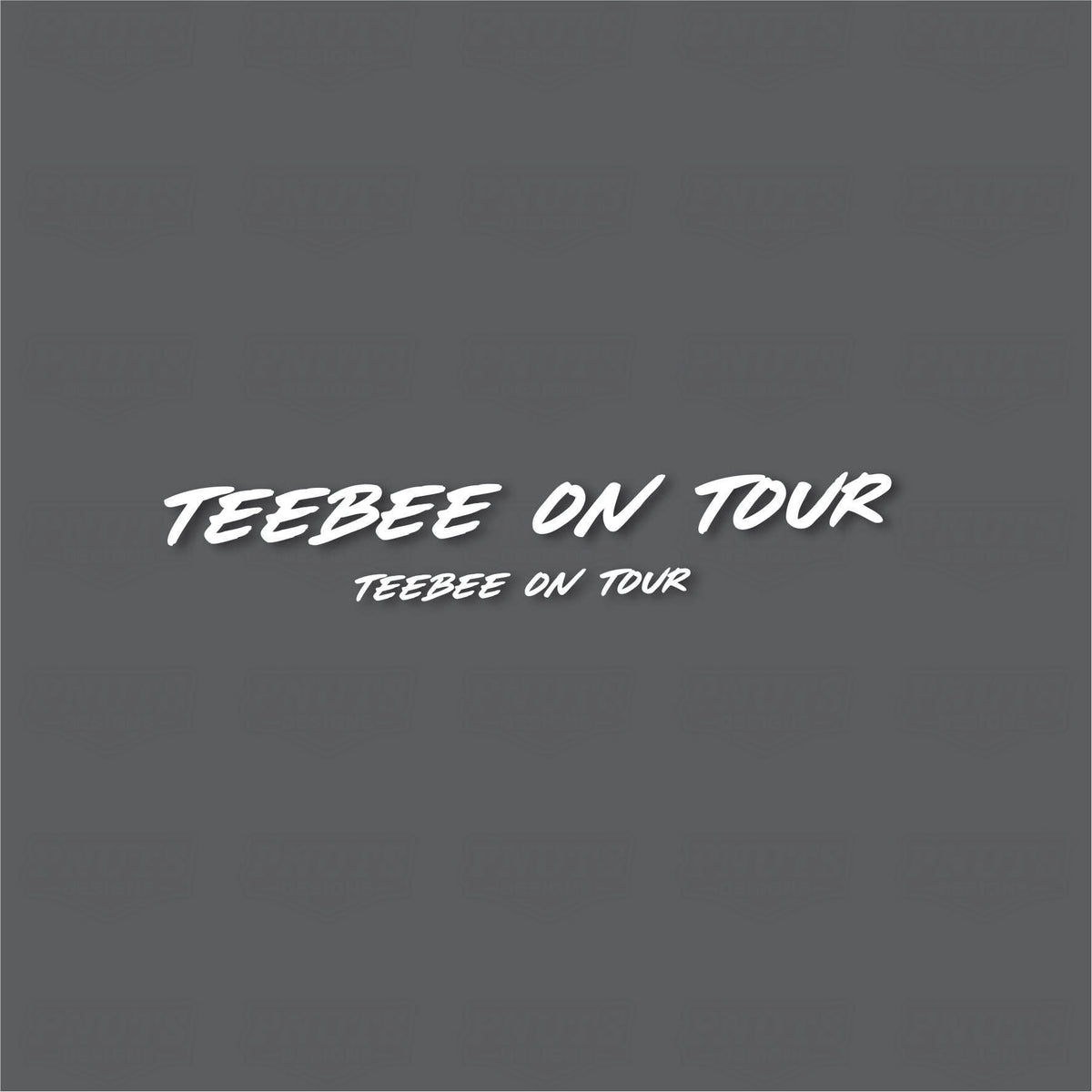 TEEBEE ON TOUR